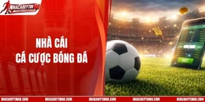 Nhà Cái Cá Cược Bóng Đá Hàng Đầu Về Trả Thưởng Hấp Dẫn